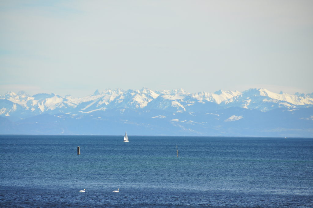 Der Bodensee